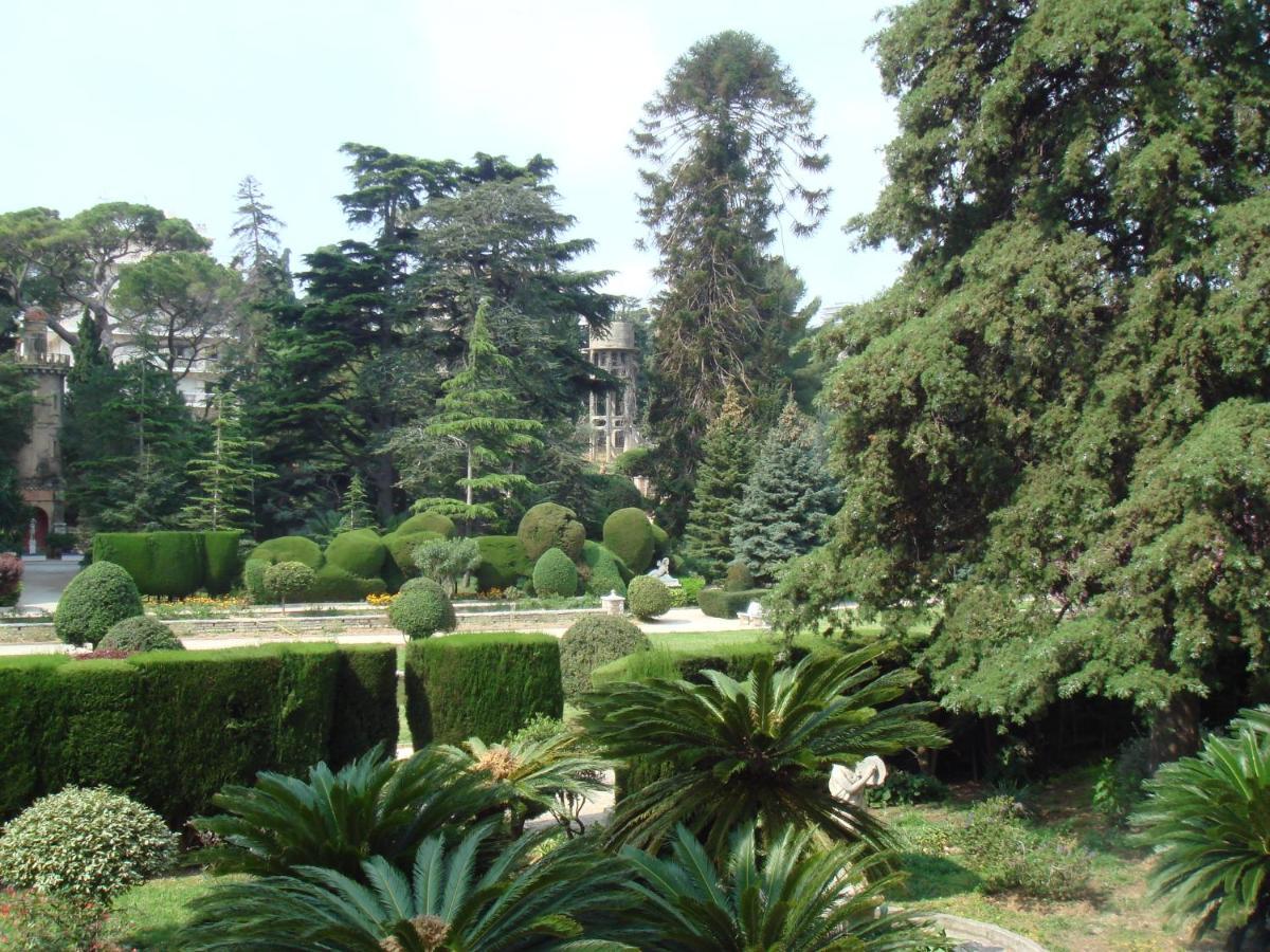 Les Grands Cedres C1 7 Avenue De Fabron * Nizza